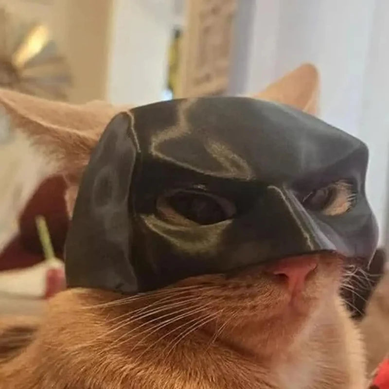 Catman - Batman Mask For Cats