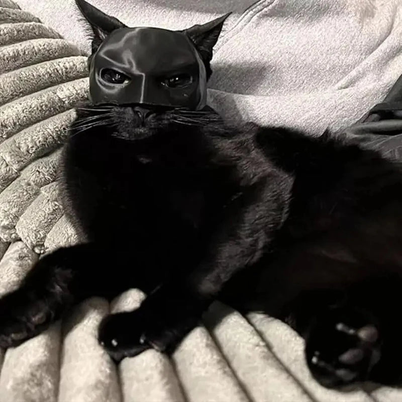 Catman - Batman Mask For Cats