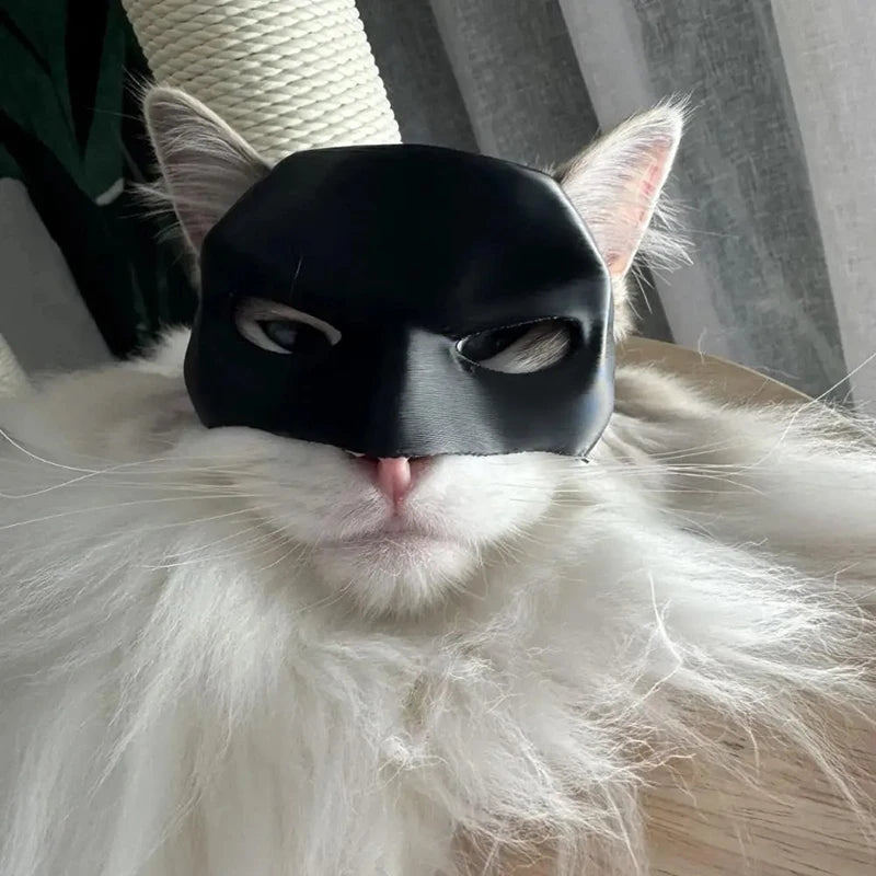 Catman - Batman Mask For Cats